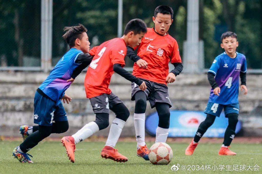 少年足球大赛,2034杯小学生足球大会决赛回放