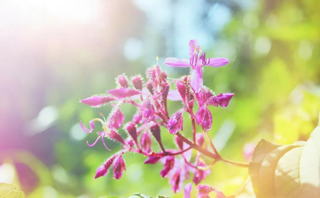 胸闷气短咳嗽做几次针灸见效,咳嗽很严重一直咳不停针灸哪里