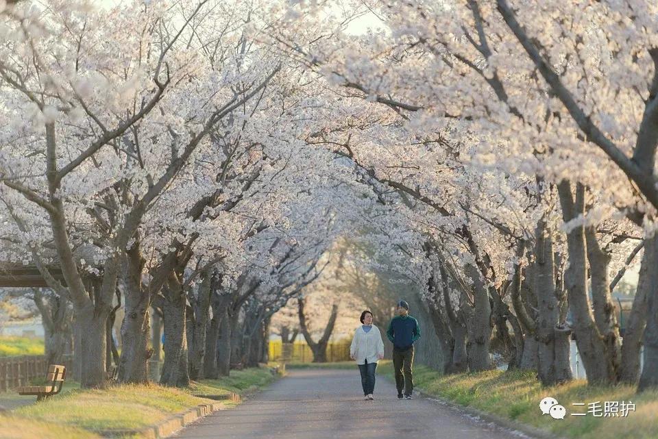 高龄老人胸闷气短治疗案例,老人总是清晨胸闷气短嗝气