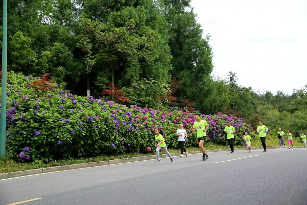 千人亲子运动会圆满成功,亲子健康跑活动方案