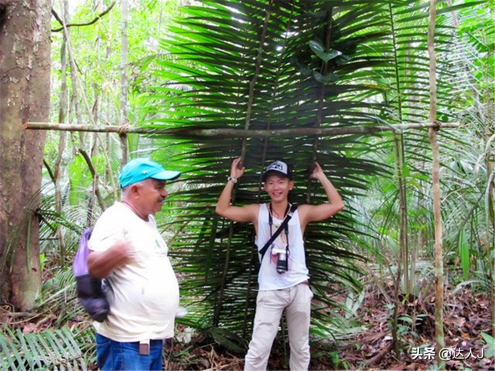 小天独家的全部视频,小天全国自驾