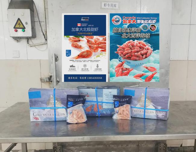 长沙甜虾批发市场,长沙哪里有北极甜虾批发的市场