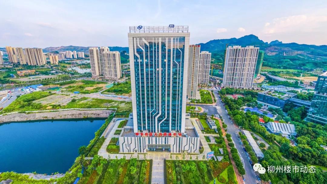 这个夏天柳东“热”得不像话，科教文娱全方位爆红