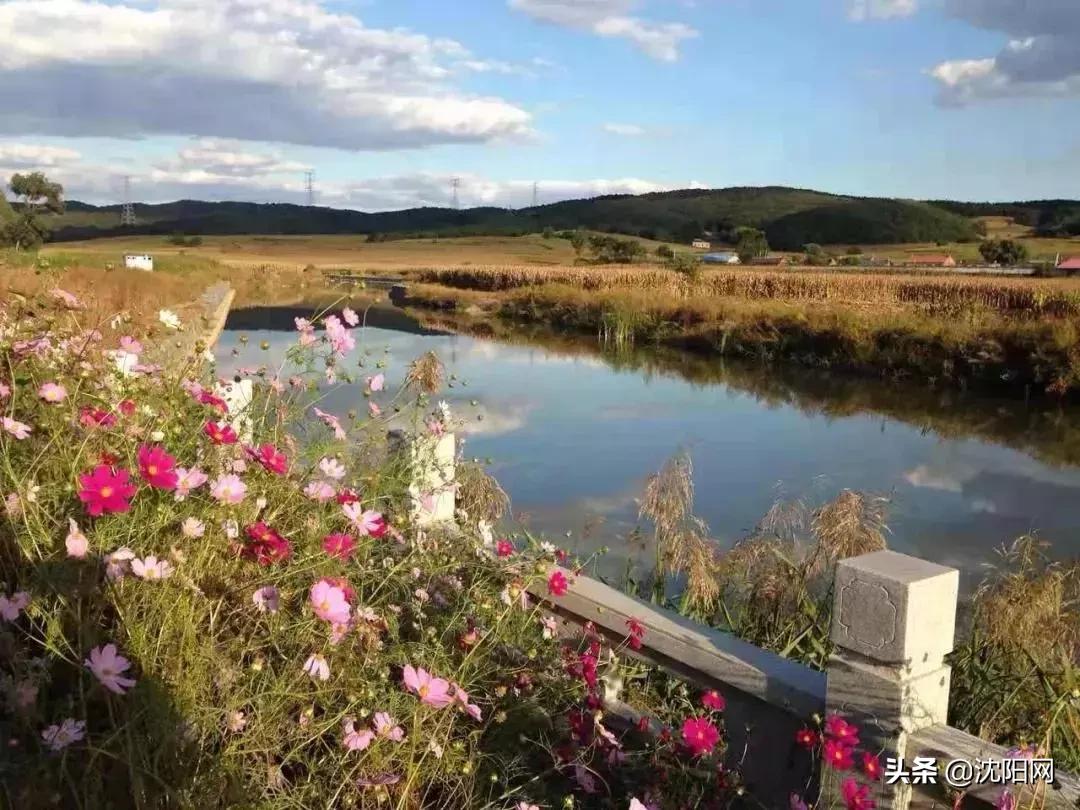 沈阳小户型民宿,一房难求的小旅馆