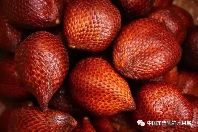 恶魔果实一共有几个形态,动漫中出现的恶魔果实