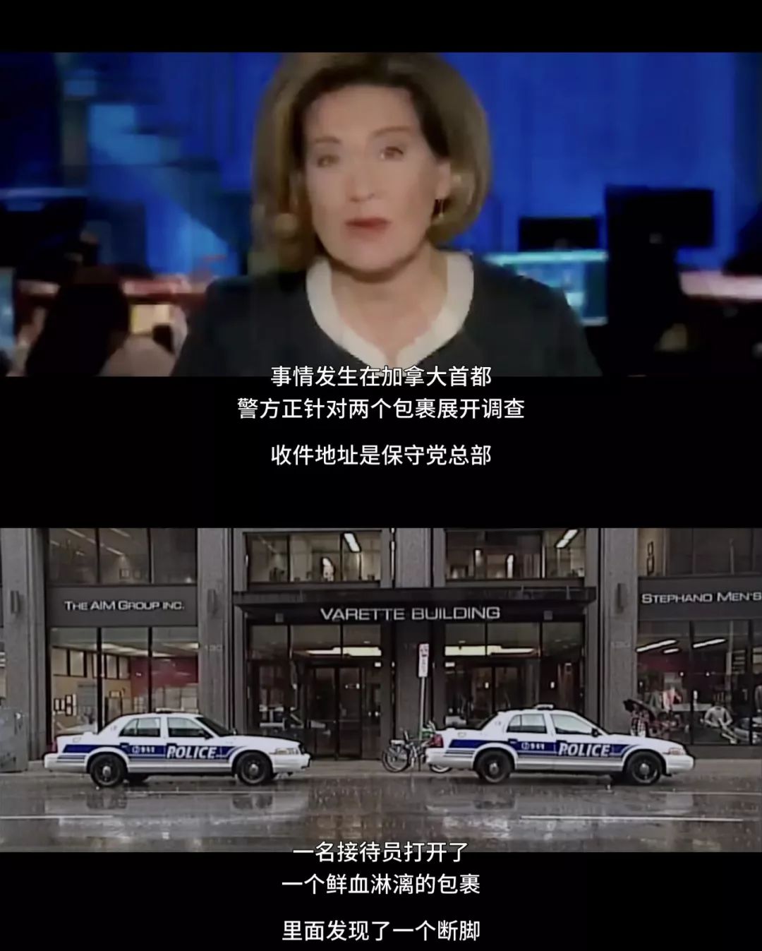 猫咪杀人案真实案例,猫咪被谋杀肢解抛尸案