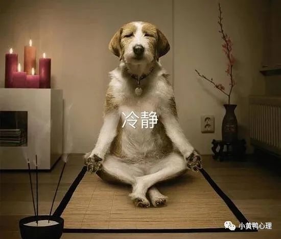 冥想会焦虑怎么缓解,冥想会减少思考吗