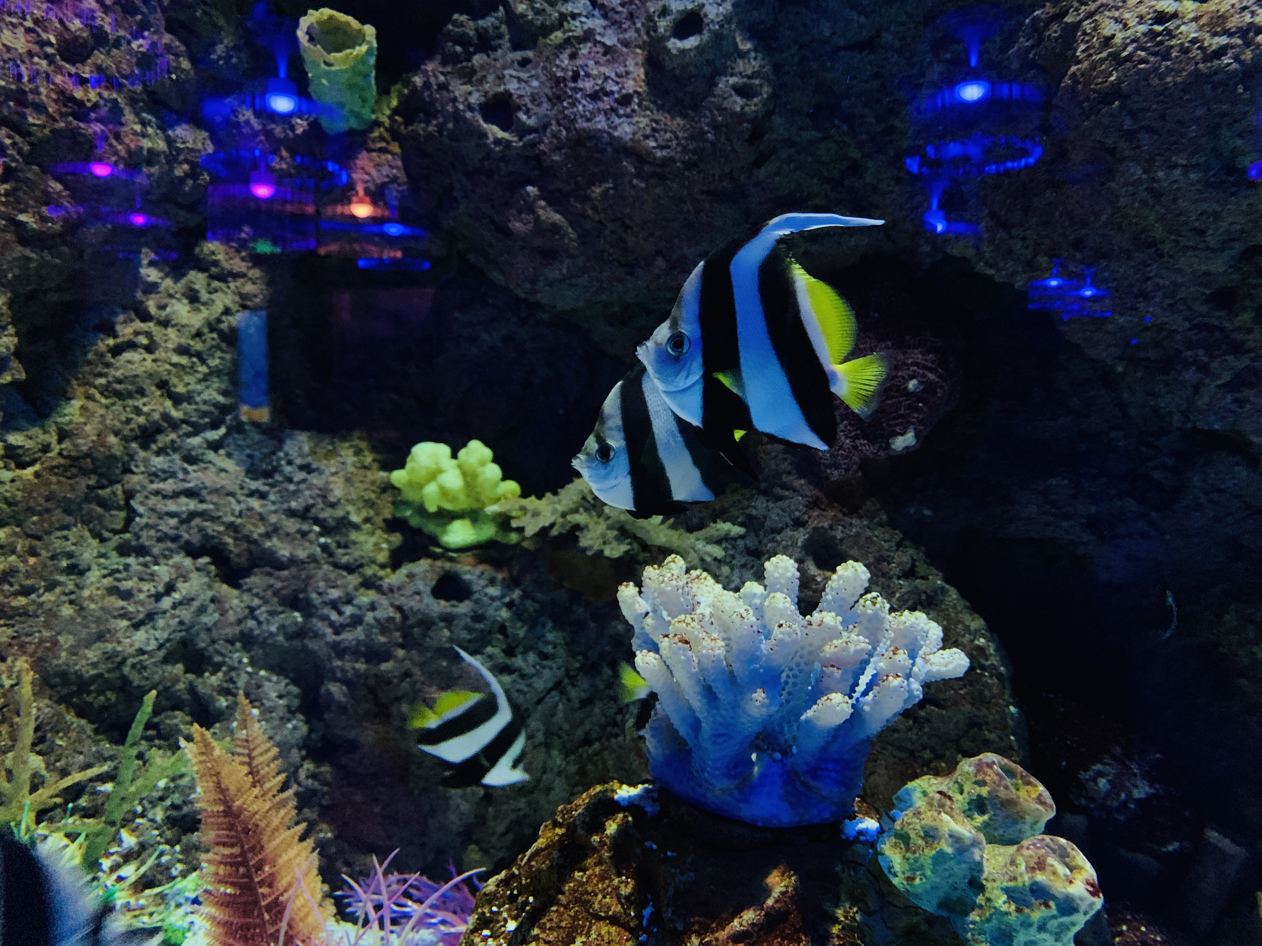 抓住10月份的尾巴,工体富国海底世界游玩攻略