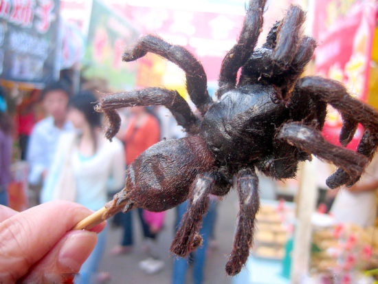 全球奇（hei）葩（an）美（liao）食（li）