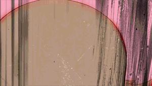 经期可以只吃水果吗,经期可以尽情的吃吗