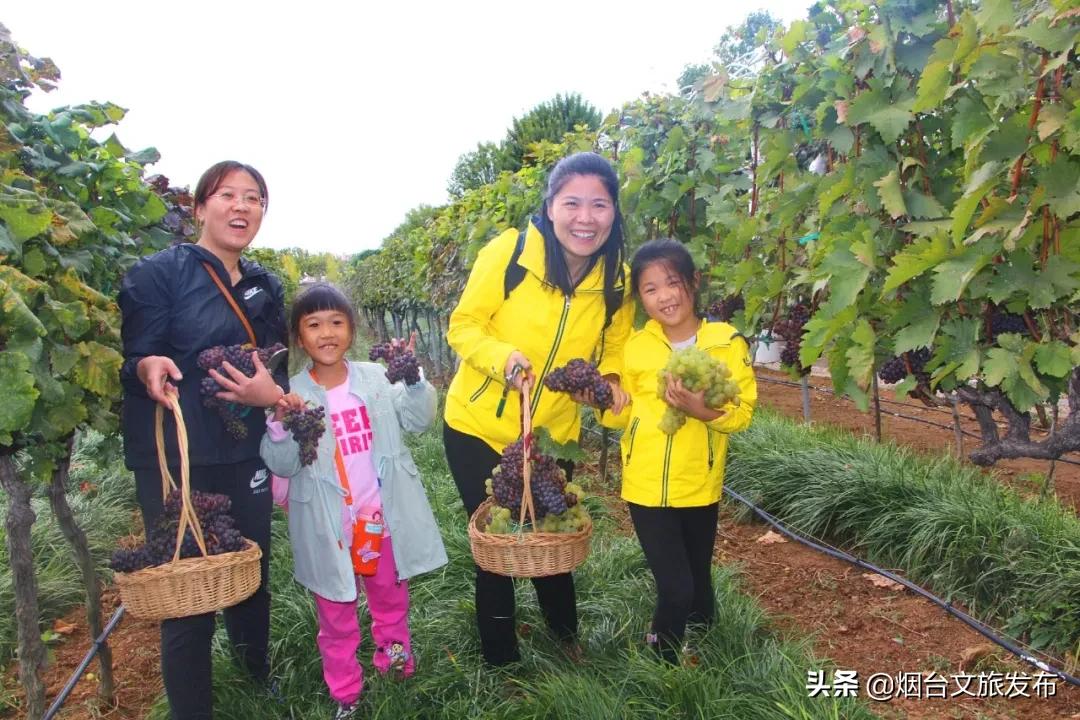 烟台人烟台攻略,烟台张裕酒庄城堡旅游攻略