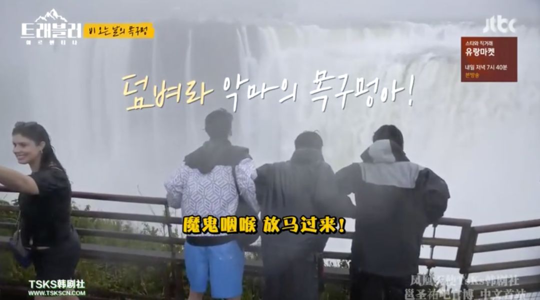 豆瓣9.6综艺,豆瓣9.5综艺