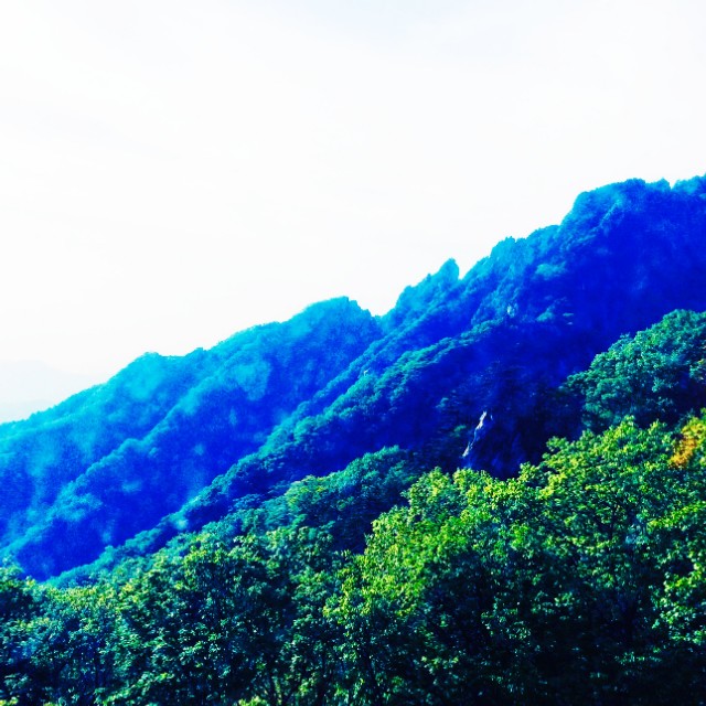 胃病最明显的一个征兆自测,胃病症状及养胃知识点