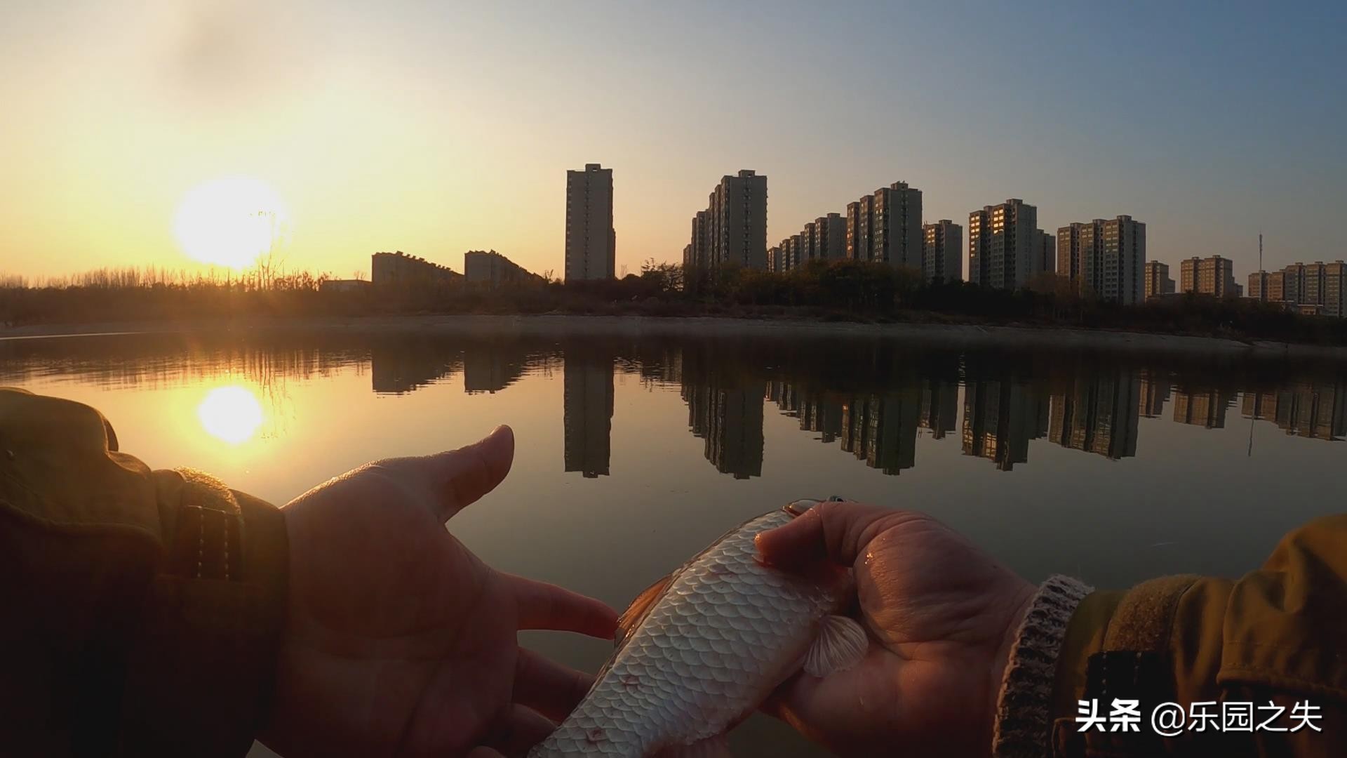 鱼体有红点用什么药,鱼体有红血丝