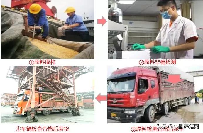 双胞胎饲料厂工艺流程,双胞胎饲料质量问题