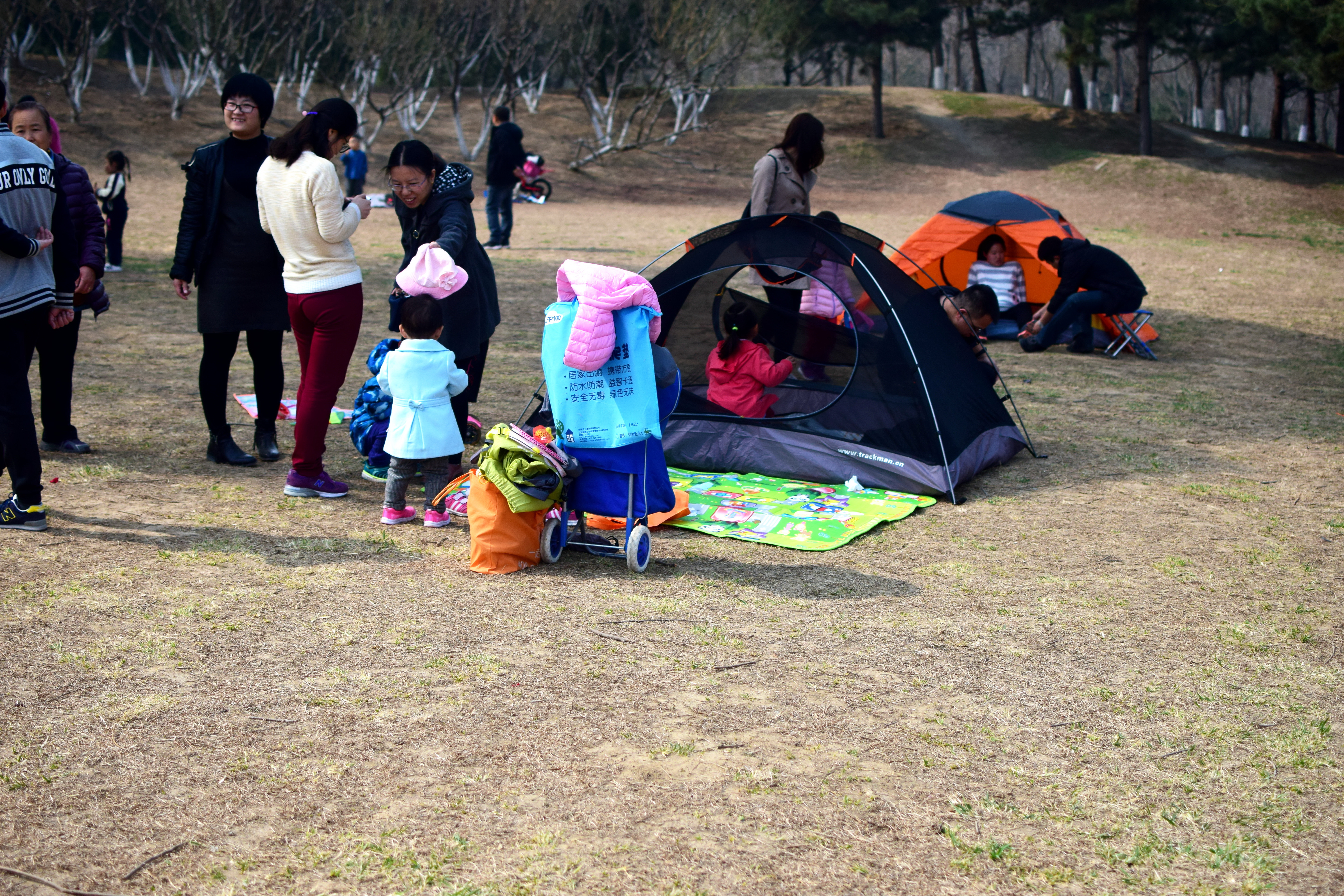 北京奥森开始限流，不允许游客带帐篷，这种场面暂时不会出现了