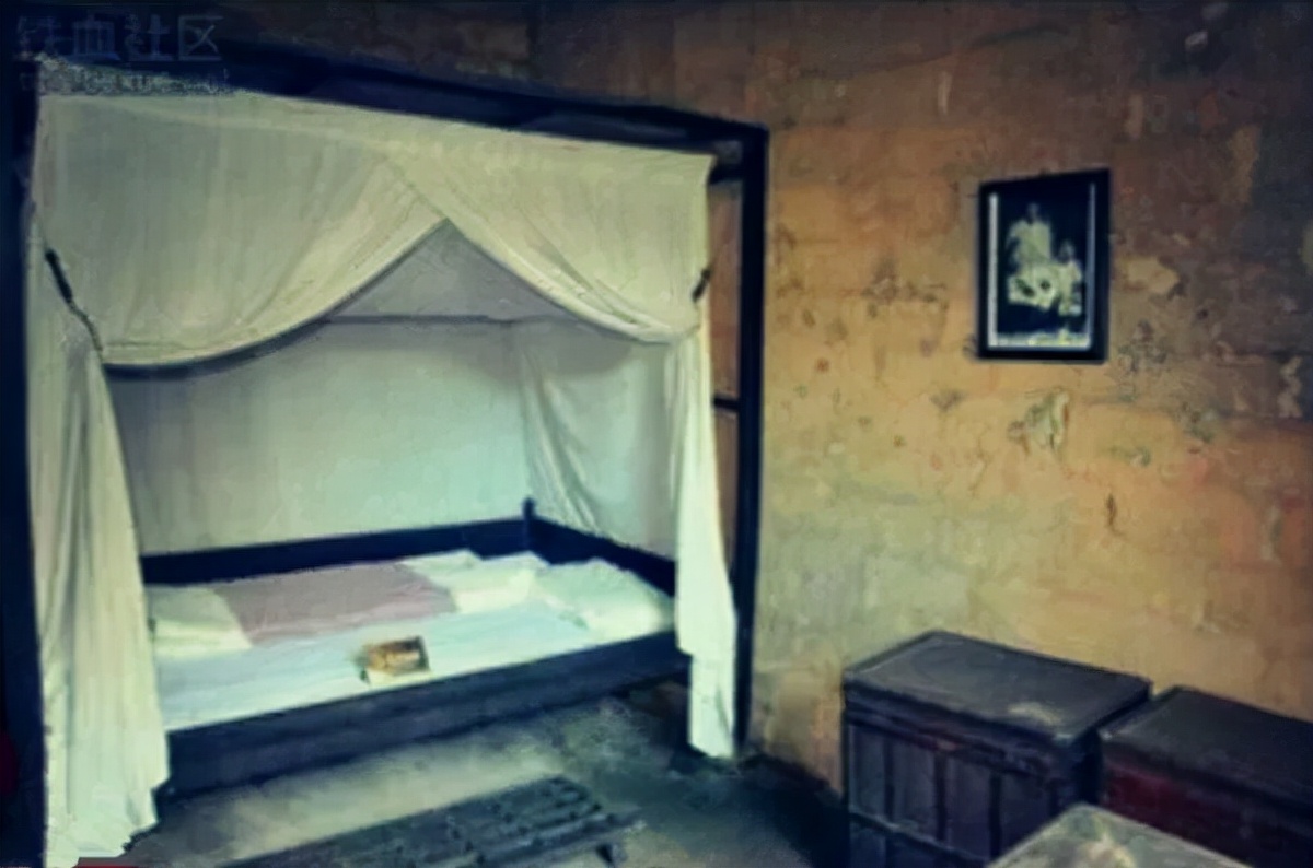 永远的骄杨——纪念杨开慧诞辰120周年