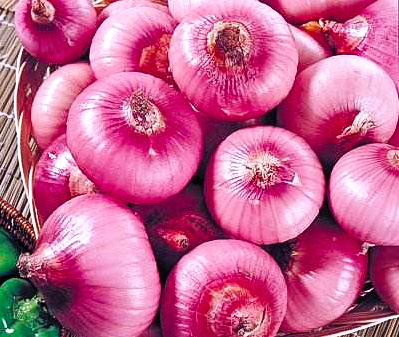 抗击肺炎宅在家里,抗击疫情别乱跑