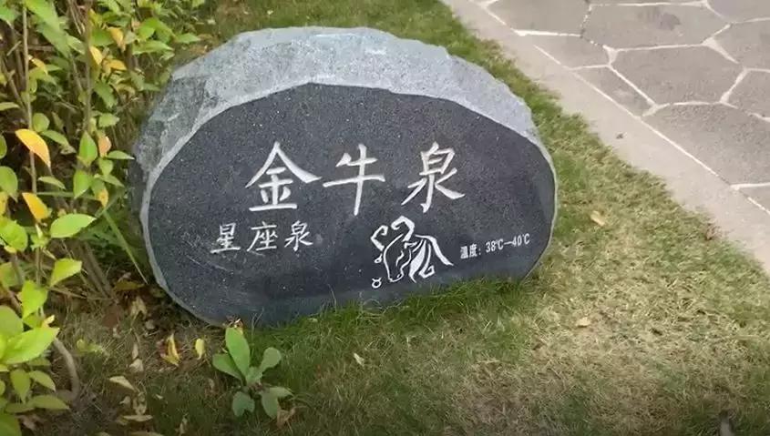 和数学博士的浪漫温泉之旅，他教会了我这些数学知识！