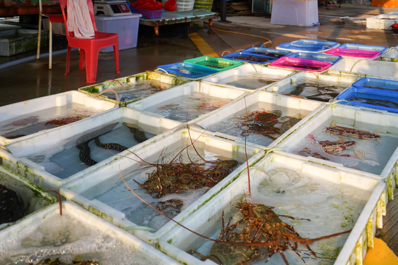 文昌温德姆酒店价格一览表,文昌温德姆至尊豪廷酒店周边游