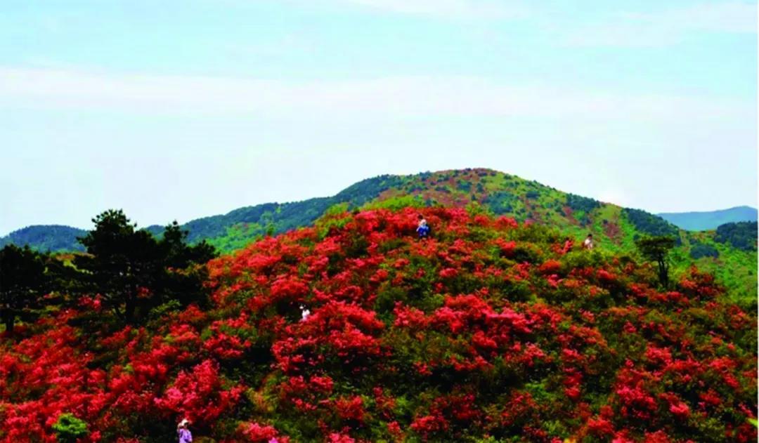 乡村精品游线路推荐,极品旅游景点推荐