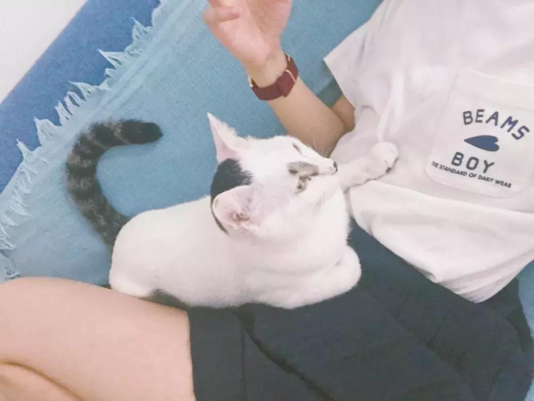 早秋选择这几件经典基础款,适合早秋的基础款