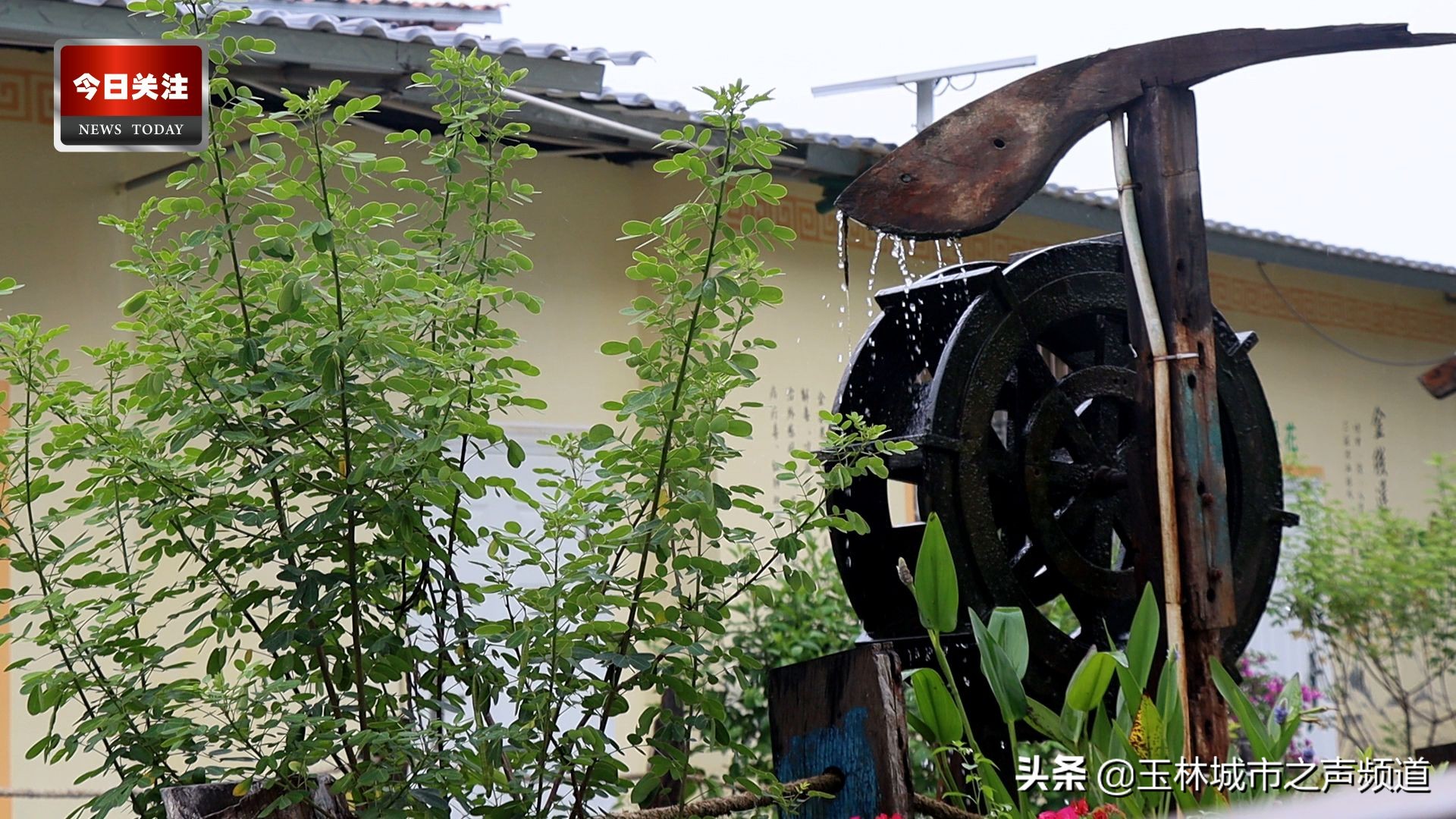 *今条头日**|小苏和潘潘带你逛金旺彩绘村系列(上集)