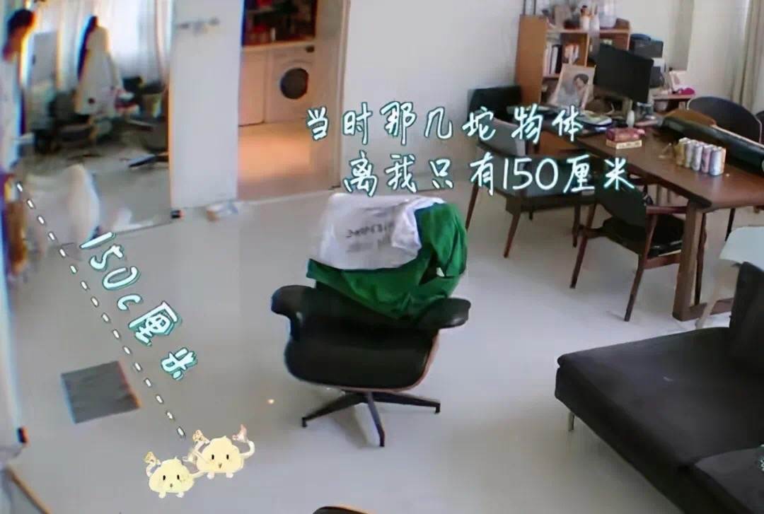 岳云鹏郭麒麟德云一哥组合,岳云鹏郭麒麟无与伦比做客完整版