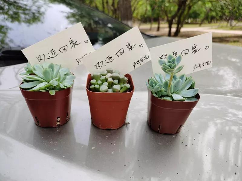 渤海大学：阔别已久，亲爱的渤大，我们回来啦