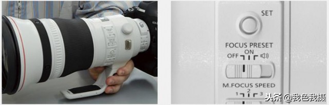 佳能打鸟顶级镜头,佳能平民打鸟推荐