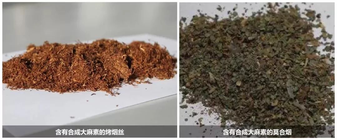 禁毒知识毒品的危害答案,禁毒科普要谨慎这些套路都有毒