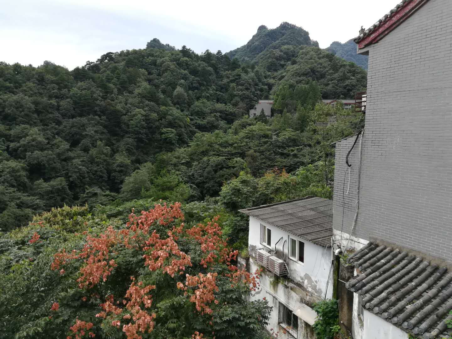 武当山高铁站旅游攻略,坐火车去武当山旅游攻略