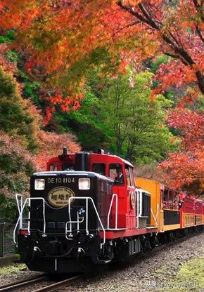 如果一生只能去一次北海道,如果一生只能去一次甘南