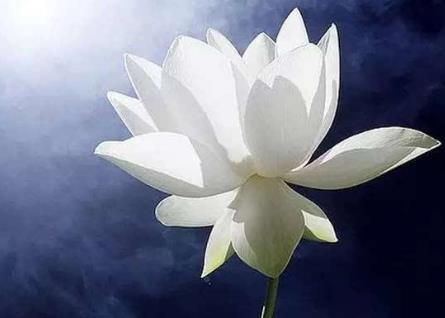 命苦的人只能拼命去干,一个真正命苦的人会有的习惯