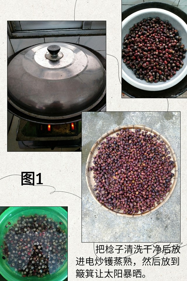 稔子酒怎么制作,稔子浸酒方法视频