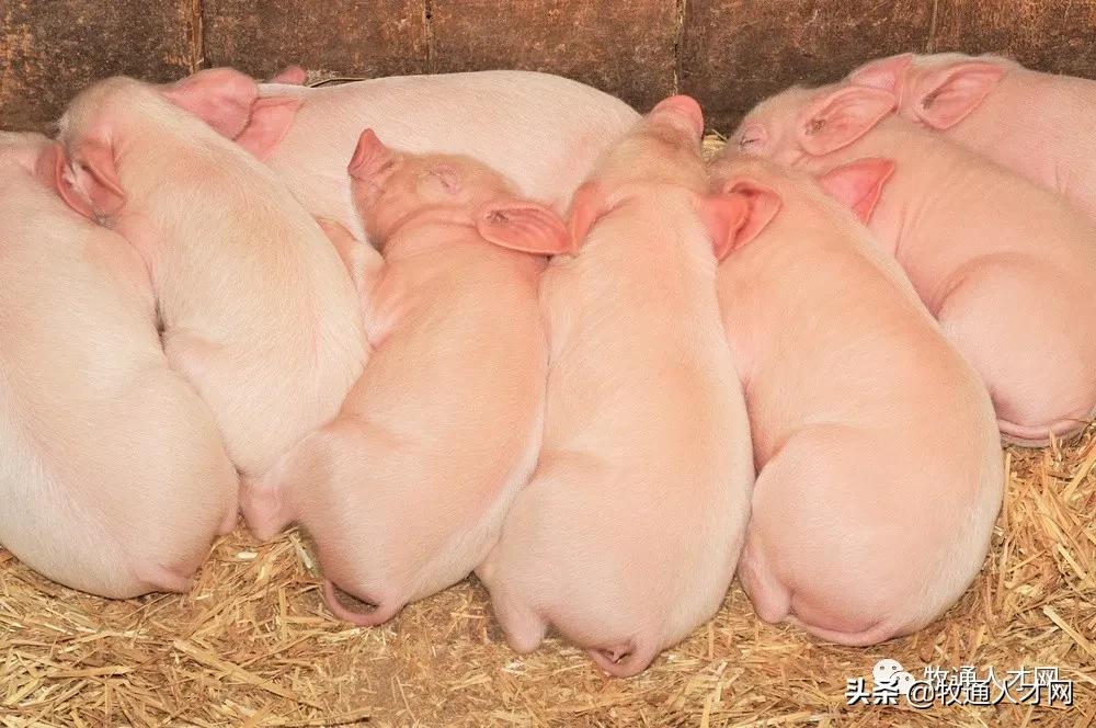 澶у寳鍐滃拰姝ｅぇ,姝ｅぇ涓庡ぇ鍖楀啘