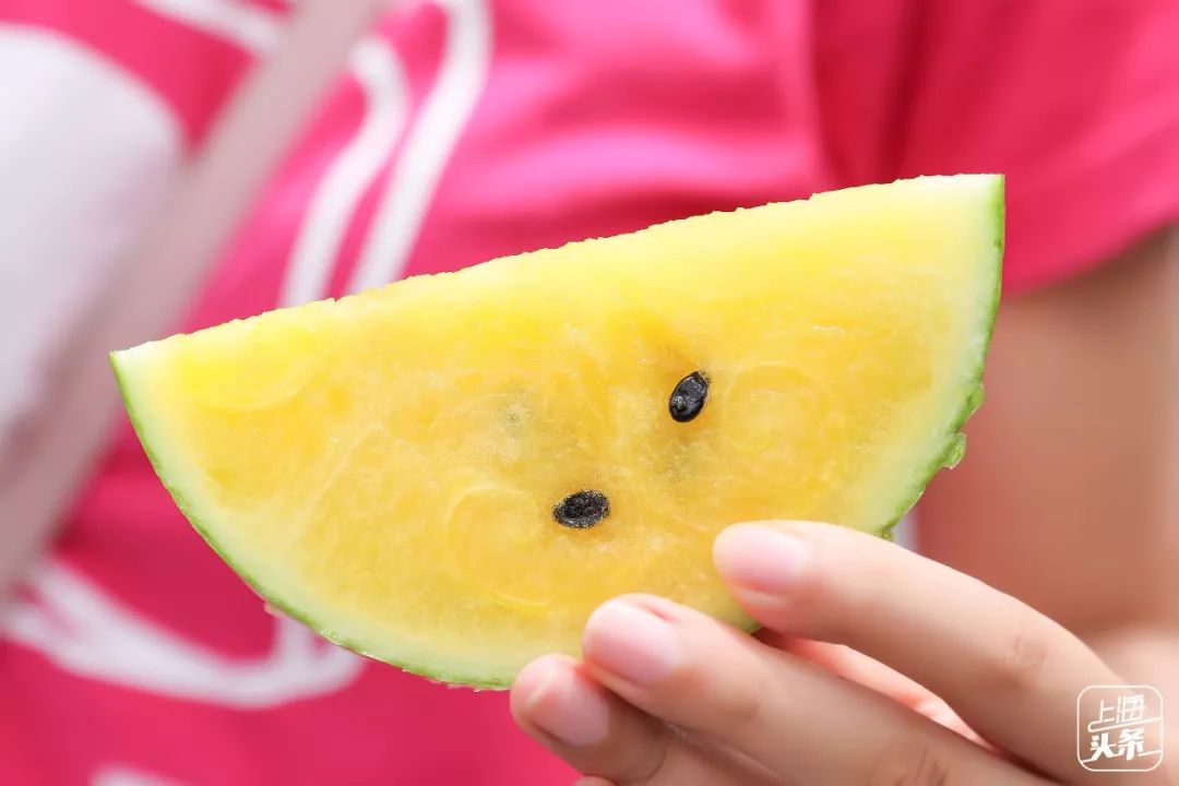 上海可以一路玩下来的地铁线,上海最新41条地铁