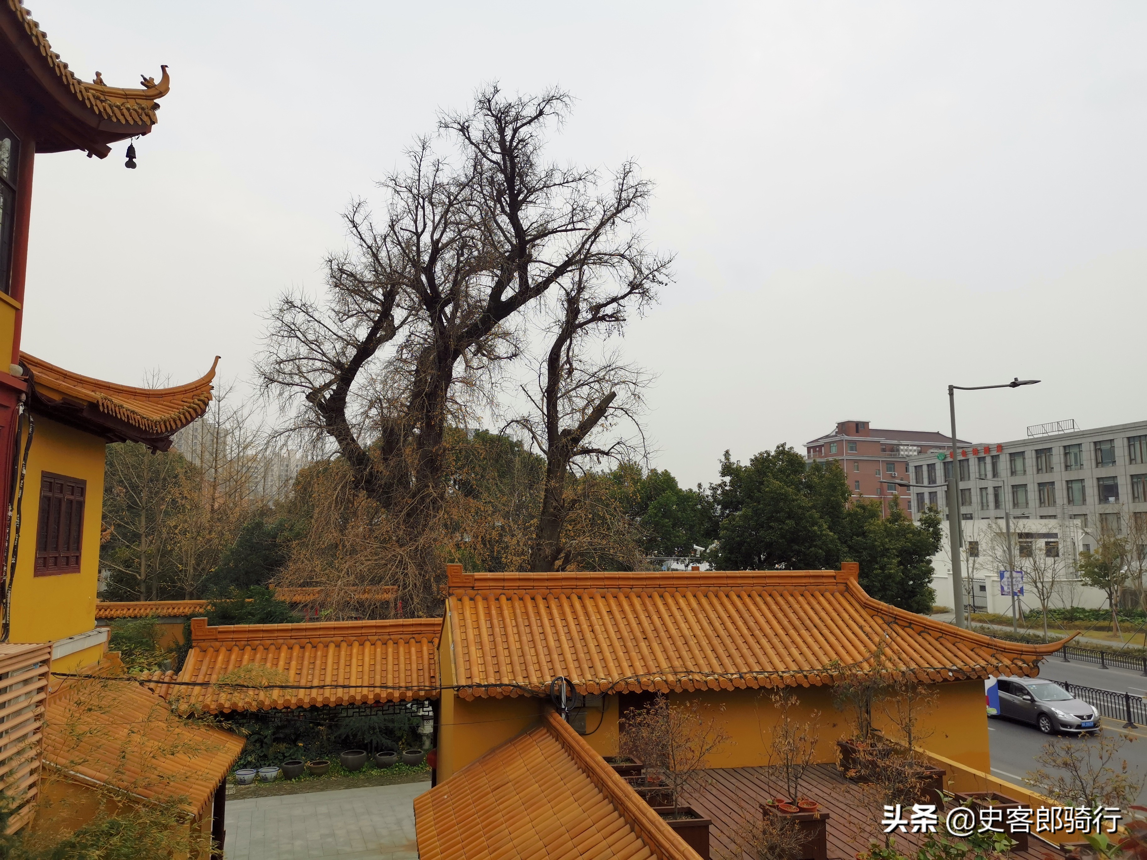 骑车看上海，二严寺
