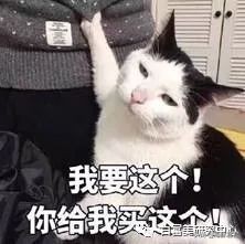 闺蜜周扬青状态,周扬青澄清闺蜜