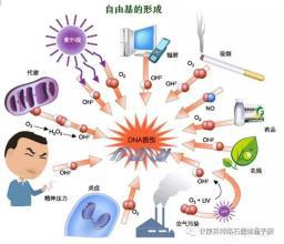 乱补雌激素引发乳腺癌,补雌激素能导致乳腺癌吗