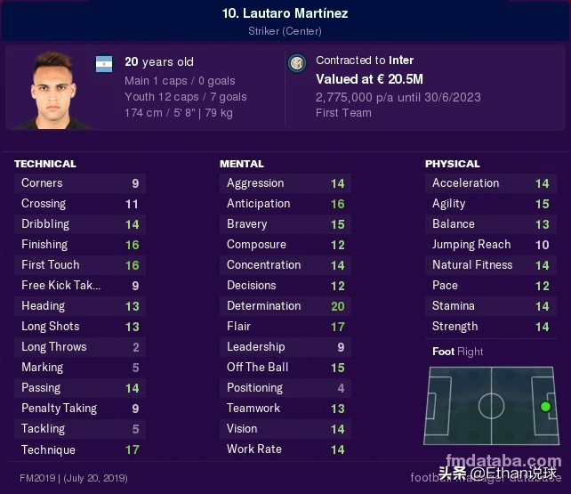 fm2020球员属性分配,fm2021球员职责