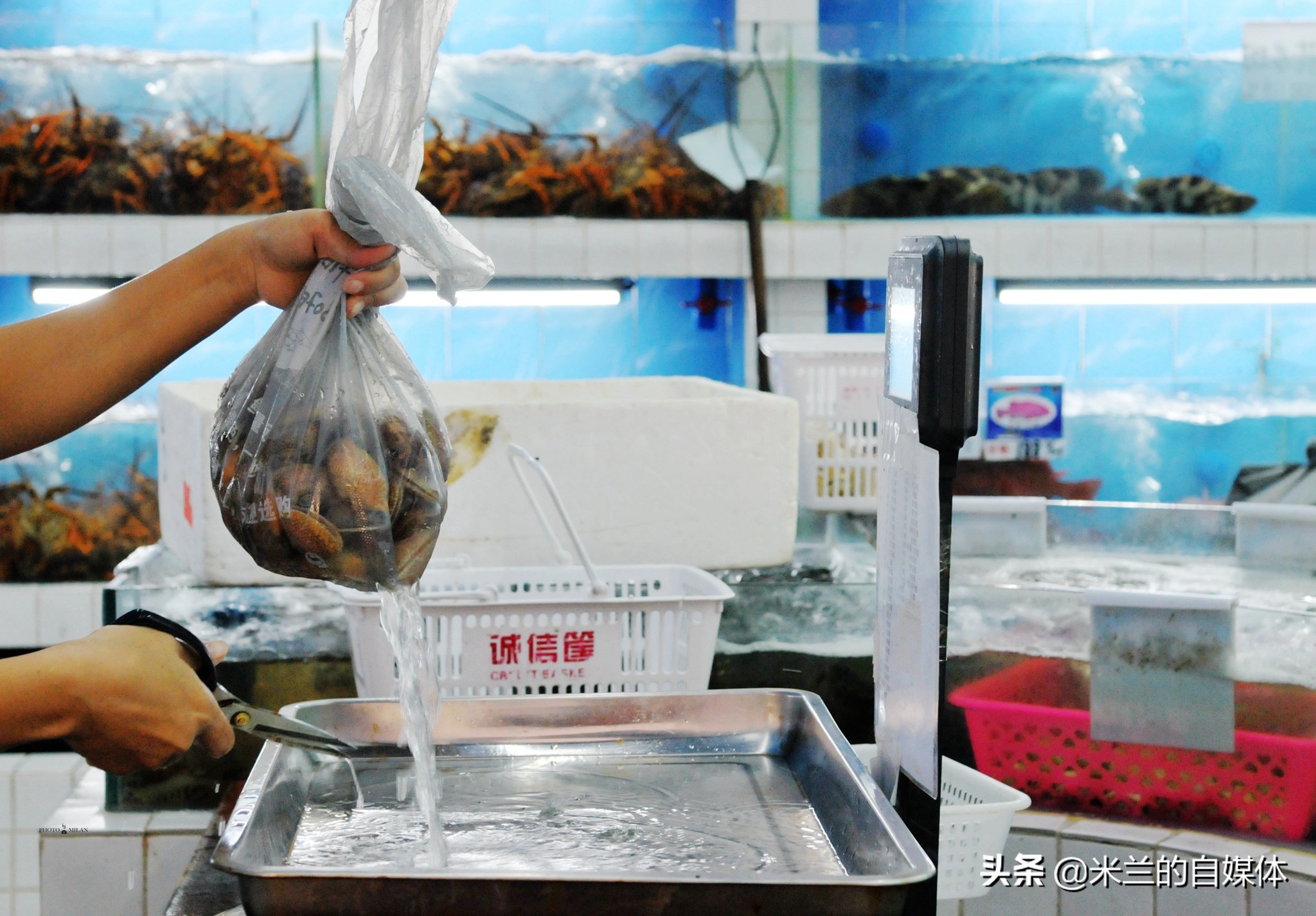 三亚旅游攻略美食推荐,三亚旅游美食攻略自由行