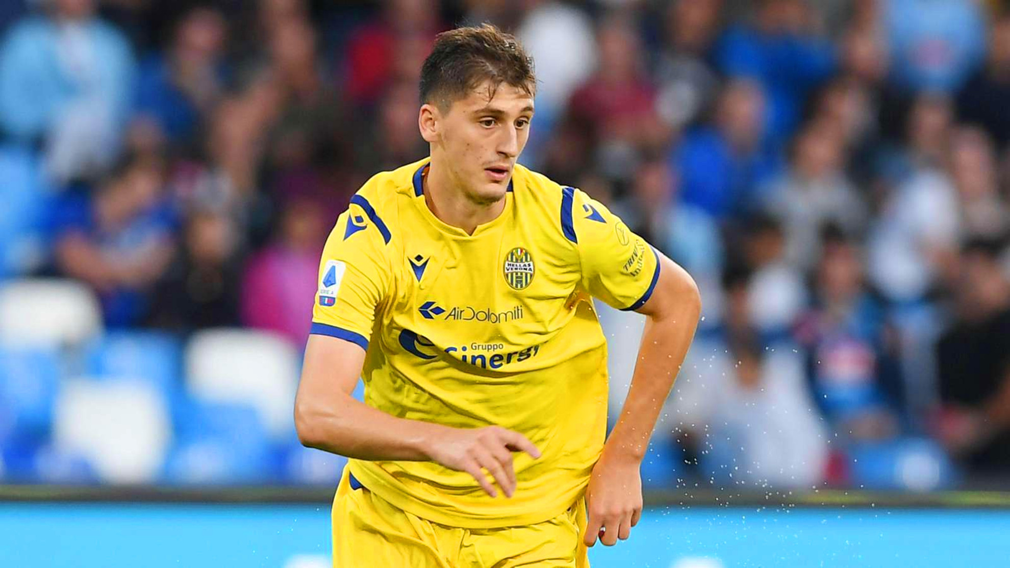 狼队最新转会信息,狼队新赛季转会