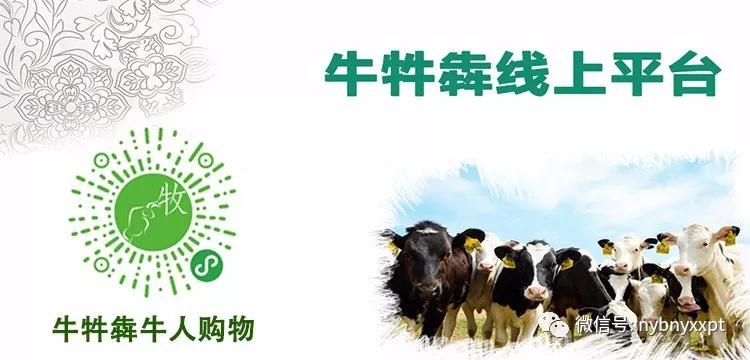 奶牛热应激管理措施,奶牛热应激反应公式