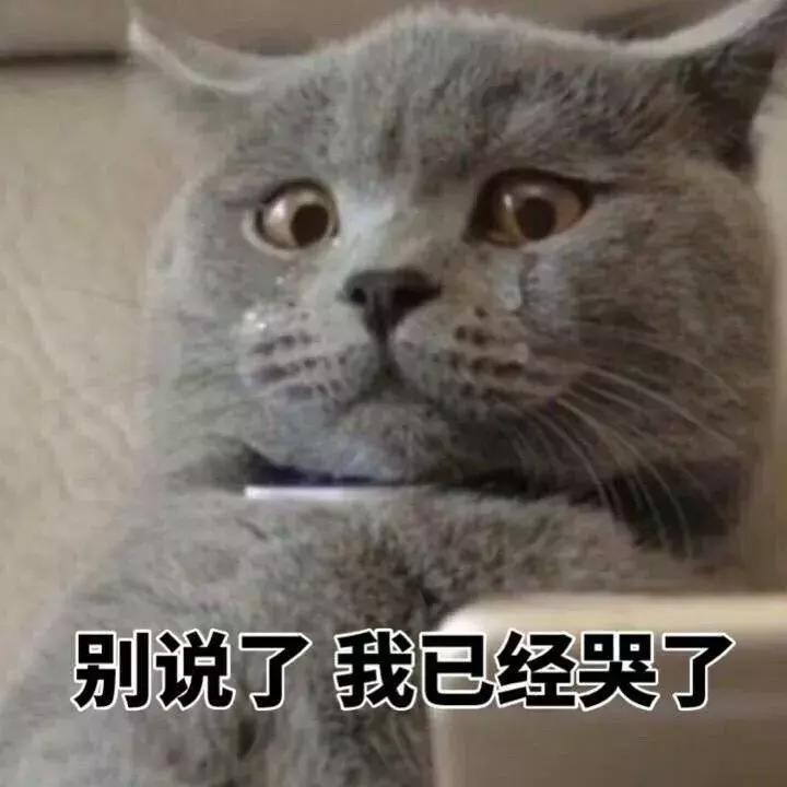 那些年失误的喵星人铲屎官已笑疯,喵星人的厉害行为报复铲屎官