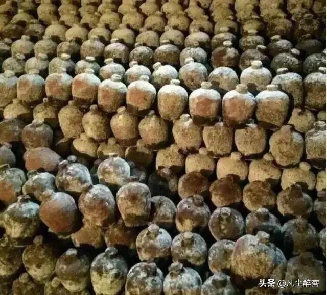 一网打尽：且看这些老酒网红中的“乔碧萝殿下”