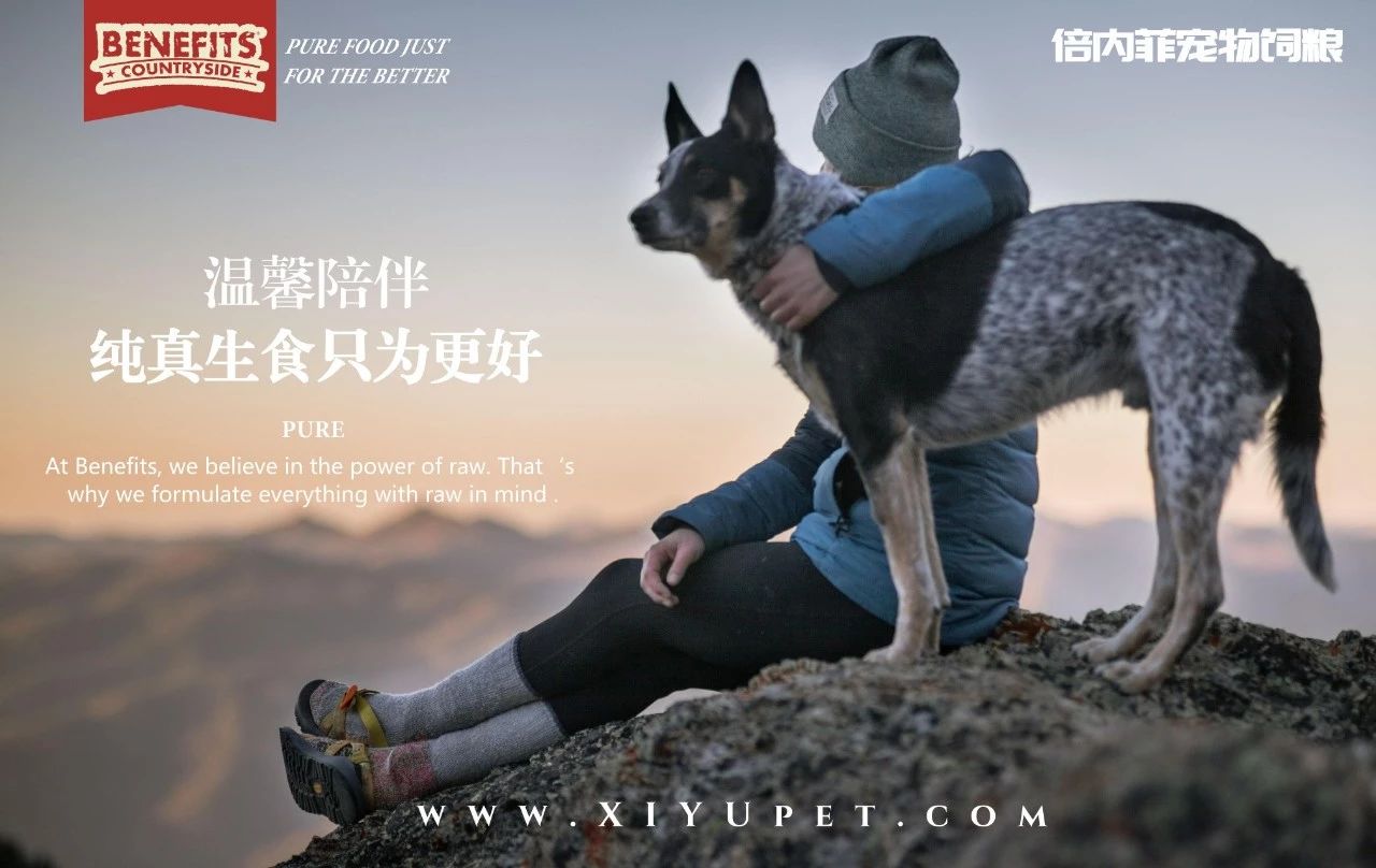 狗狗拉绿便是怎样的,狗狗绿便