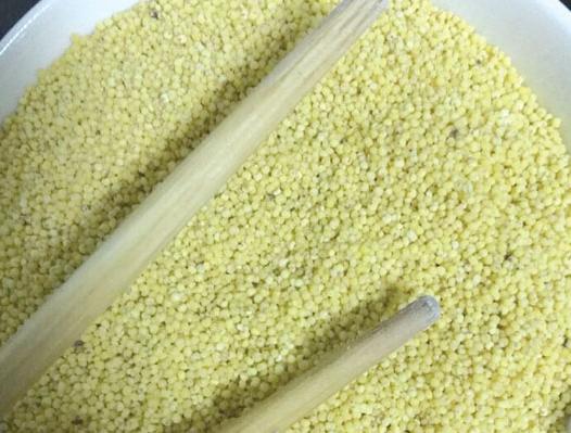 小米怎么生虫子,小米生虫子有什么办法把虫子除净