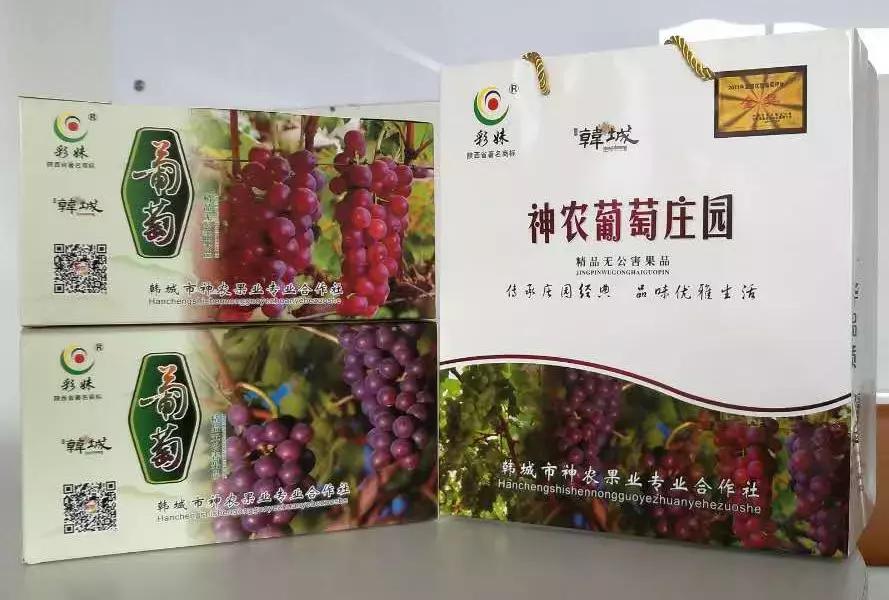 神农葡萄庄园基地,神农葡萄庄园