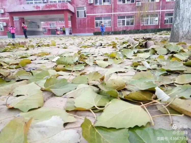 满意教育新消息,建区域教育中心办人民满意教育